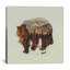 « bear i », impression-22383959-22383956