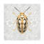  «Danhui Nai Beetles And Butterflies III», art mural sur toile-101102441