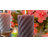 Unscented Pillar Candle-1062119634