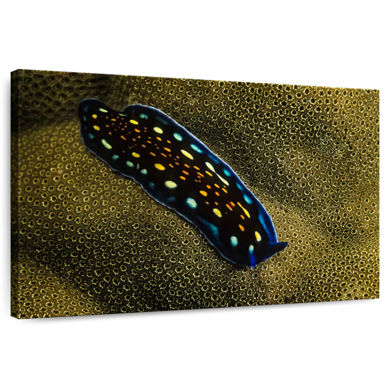 Linda's Flatworm, 8" H x 12" W
