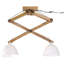Amilien Ceiling Light-420851506