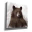 Millwood Pines «Bear Mountain» par Carol Robinson, art mural sur toile, 12 po x 12 po-839610060