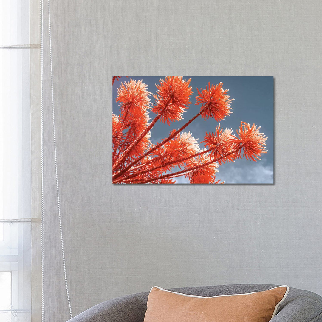 Red Trees by Glauco Meneghelli - Wrapped Canvas Print