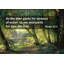 Art sur toile ArtsyQuotes: citation du verset de la Bible, Psaume 42: 1, Carl Fredrik Aagard, Deer Park-1626748624