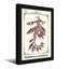 Imprimé artistique animaux Seadragon-1889583059-1889583062-1889583063