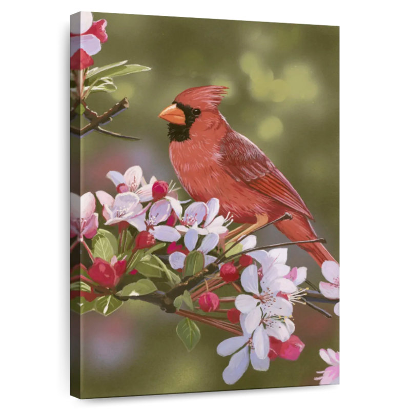 Brampt Cardinal With Apple Blossoms, 39" H x 26" W