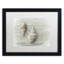 « two cancellara shells », reproduction de photo sur toile encadrée-32709778-32709781