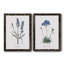Lavande - ensemble de 2 reproductions d'impressions-467967551-484035729-467967545