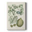 Buchoz Tropicals VIII - galerie sur mesure Cavas-117868271