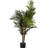 Thisbe 60'' Faux Palm Tree in Pot