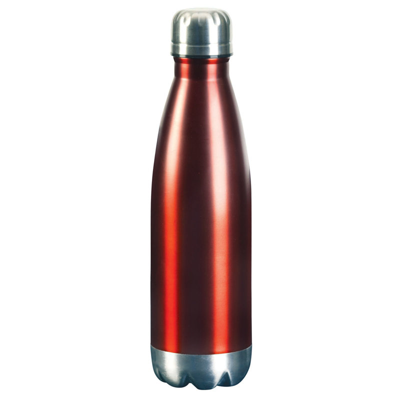 Bouteille d'eau Enjoy The Good Red 17 oz