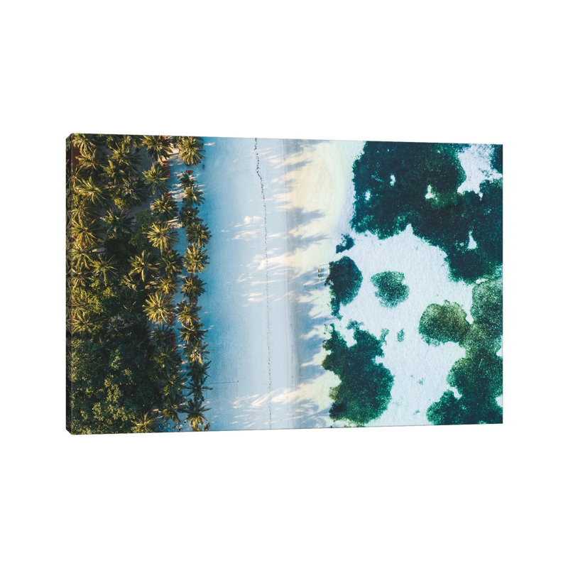Beach Turtle Nature Close-Up by James Vodicka - Wrapped Canvas Gallery-Wrapped Canvas Giclée, 20.32cm H x 30.48cm W