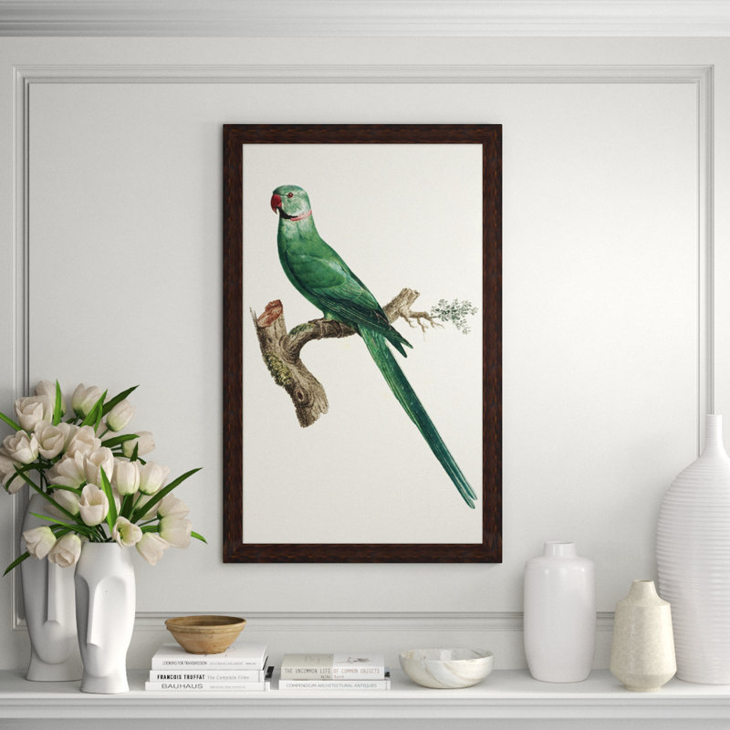 Perched Parrot 2 Print