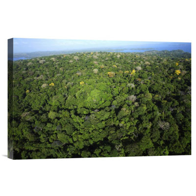 " Aerial View Of The Canal Zone, Barro Colorado Island, Panama "