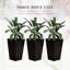 Ensemble de 3 pots à fleurs avec trou de drainage Outsunny-933443770