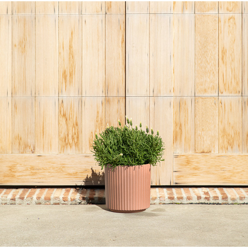 Pot à fleurs rond Demi Series, H 11,5 po x l 10,5 po x P 10,5 po, Terracotta, 1