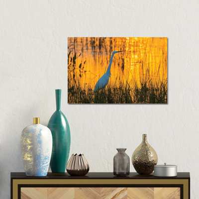 Great Egret (Ardea Alba) At Sunset. Viera Wetlands, Brevard County, Florida. by Richard & Susan Day - Wrapped Canvas Gallery-Wrapped Canvas Giclée