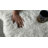 Emigsville Indoor Rug-690689596