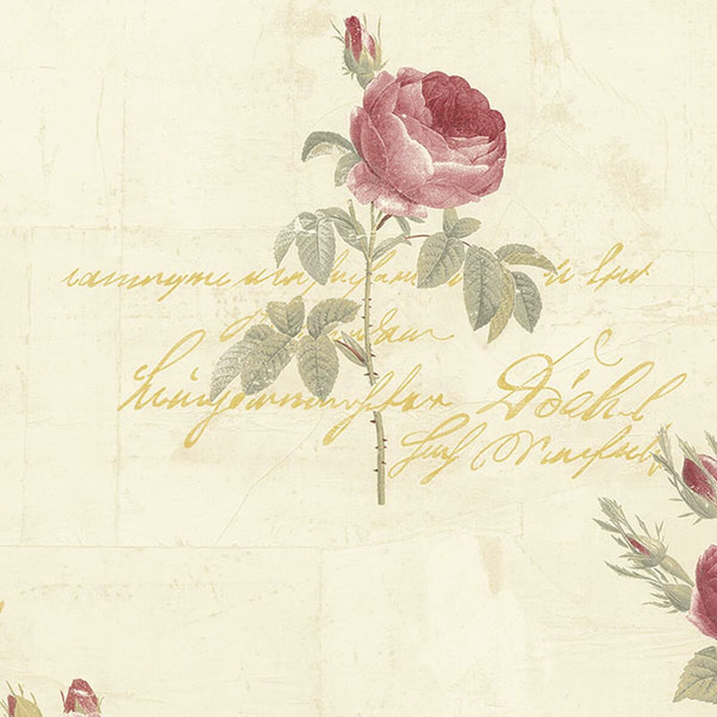 Rouleau de papier peint floral et botanique 33 pi x l 21 po Larosa, Crème / rose