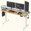 Radke Adjustable Standing Desk-1866971186-1866971190