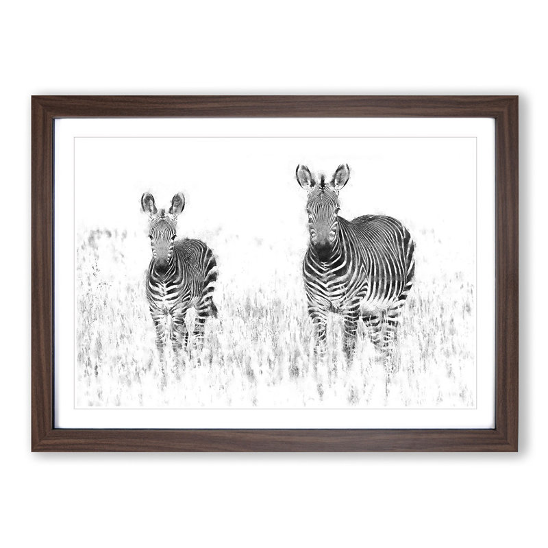 Two Zebras - Picture Frame Painting Print, 45cm H x 63cm W x 2cm D, Walnut Framed
