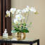 Arrangement