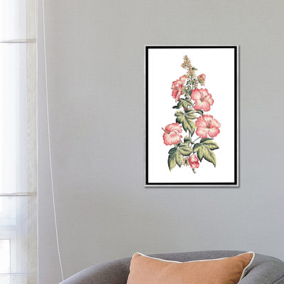 " Flowering Hibiscus II " by Unknown Artist