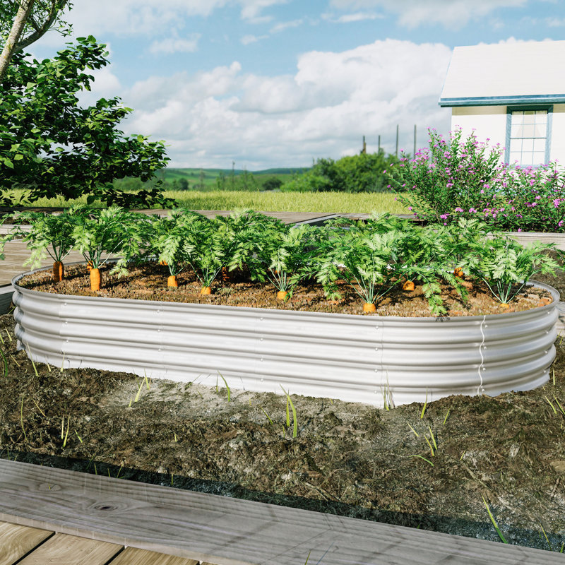 Ensemble de jardin surélevé galvanisé 8 x 4 x 1 pi pour légumes et fleurs et herbes