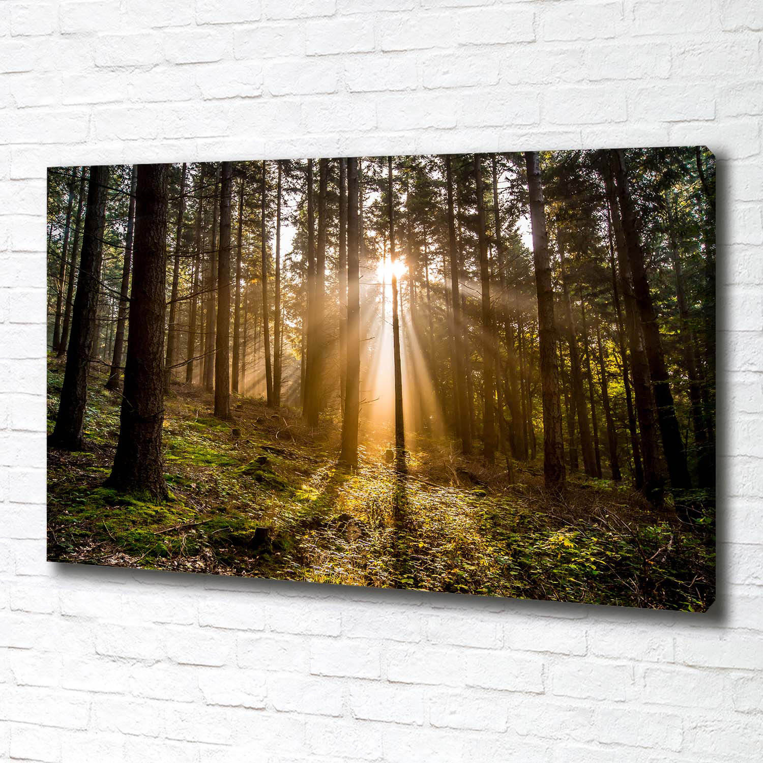 Union Rustic Sunlight - Wrapped Canvas Art Prints | Wayfair.co.uk