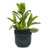 Ceramic Flowerpot-1424135839