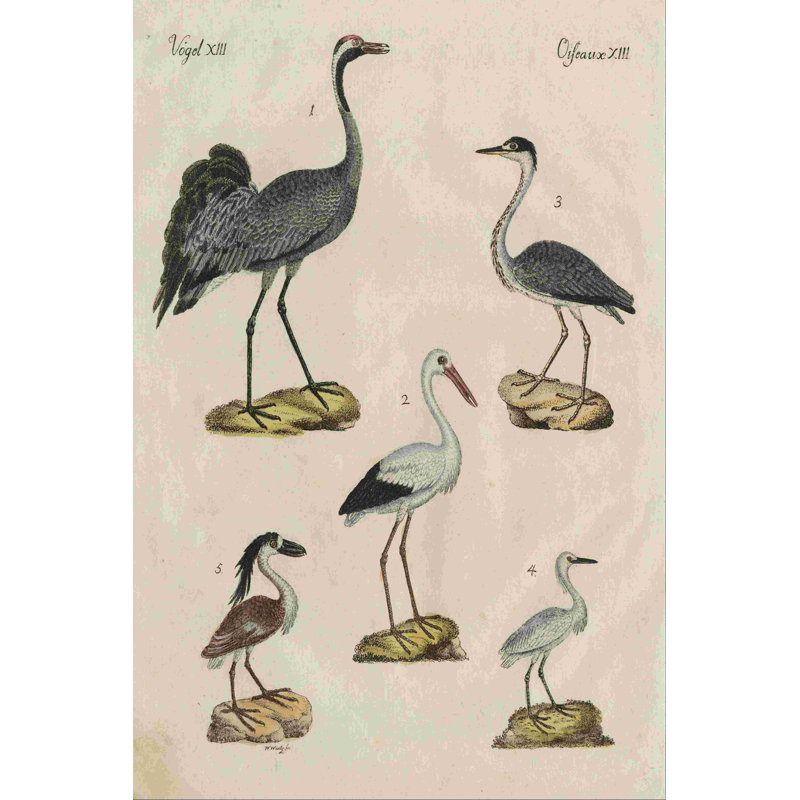 Heron classification I, H 36 po x l 24 po