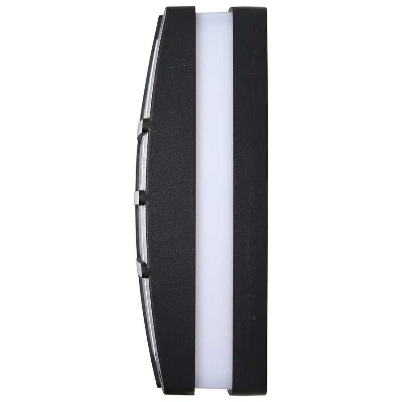 Asner LED Wall Light
