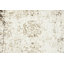 Tapis Brandt-119885855-130921839-100764903