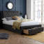 Miladin Upholstered Storage Bed-16854356-16854357