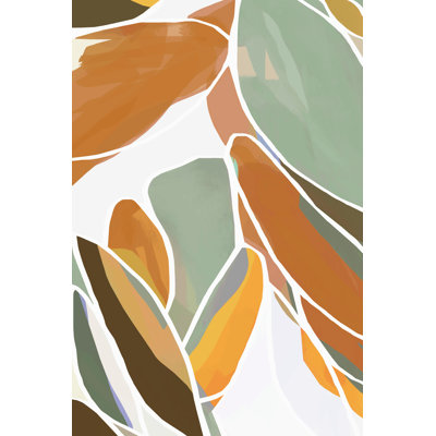 Echo corail I