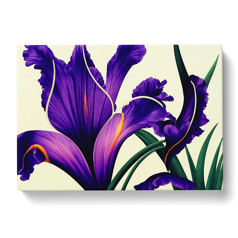 Enlightened Iris Flowers - Wrapped Canvas, 35cm H x 50cm W x 3cm D