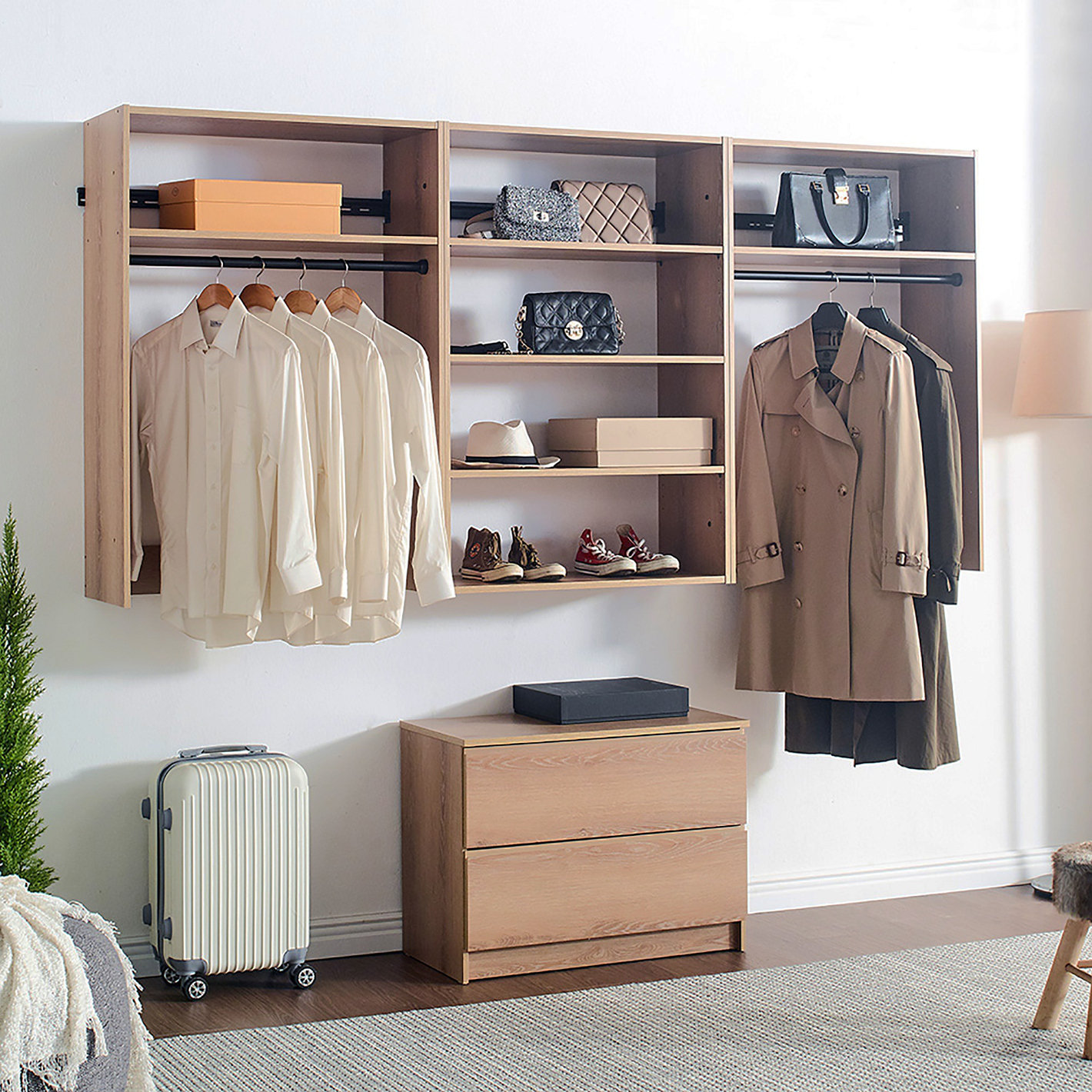 Wall Mounted Closet System