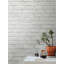 Rouleau de papier peint L 33 pi x l 20,5 po