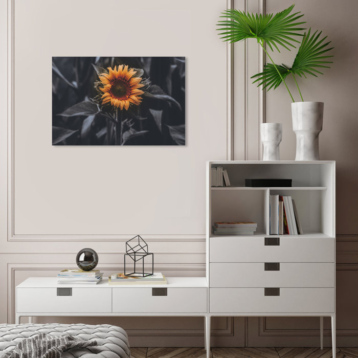 Gracie Oaks Sunflower In Color On Canvas by Wynwood Studio Print | Wayfair