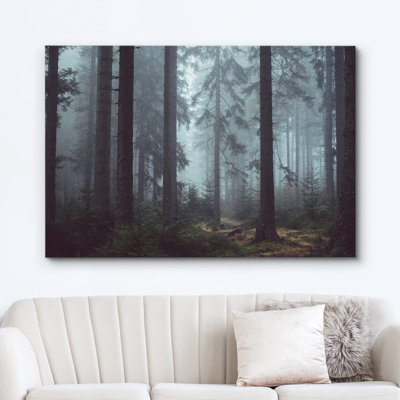 Nature, paysage, pin, forêt, brume