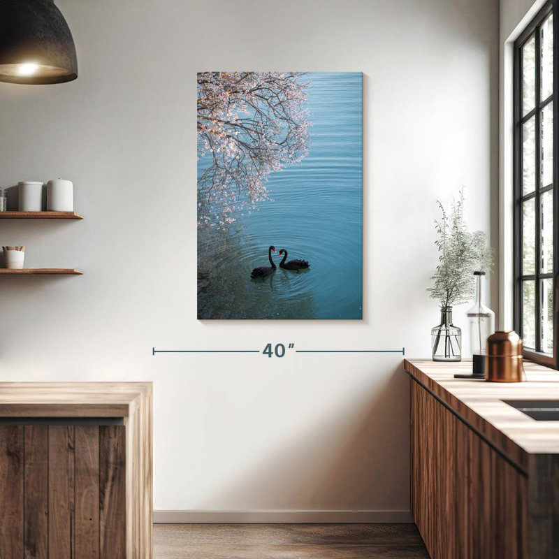 Brampt Black Swans Sakura, 39" H x 26" W