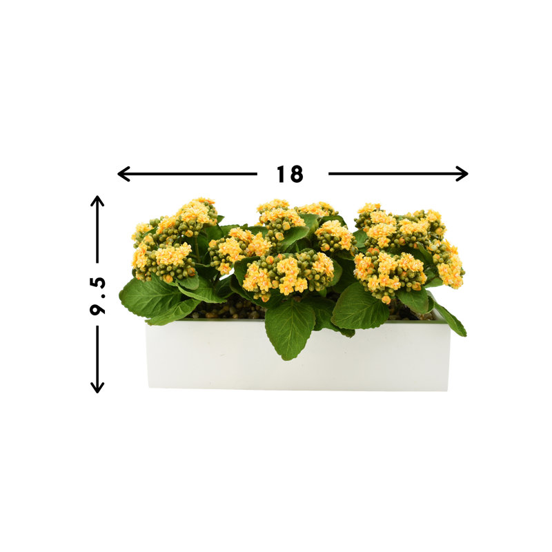 Kalanchoe Arrangement in Fiberstone Planter, Yellow, 9.5" H x 18" W x 9.5" D