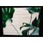 No Frame Print on Wood-29274025