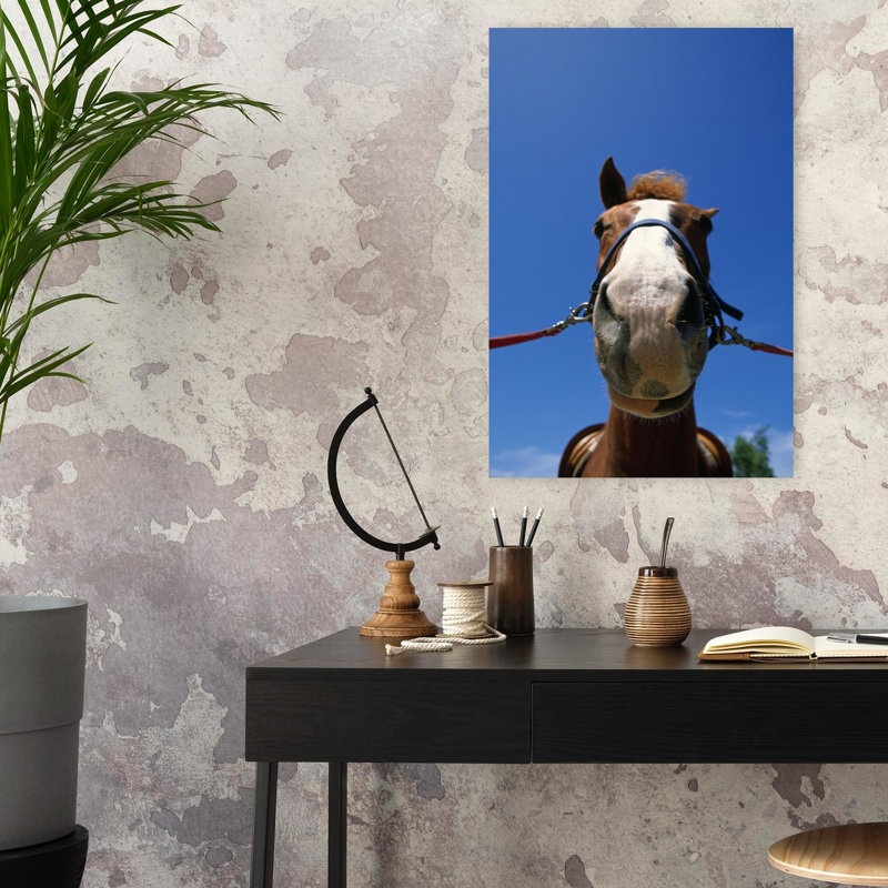 Low-Angle View Of Horse Wearing Bridle by Chris Pinchbeck - Wrapped Canvas Print, 24" H x 16" W