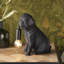 Cason Resin Novelty Lamp-876727556