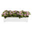 Kalanchoe Arrangement in Fiberstone Planter-1628801912-1646607022
