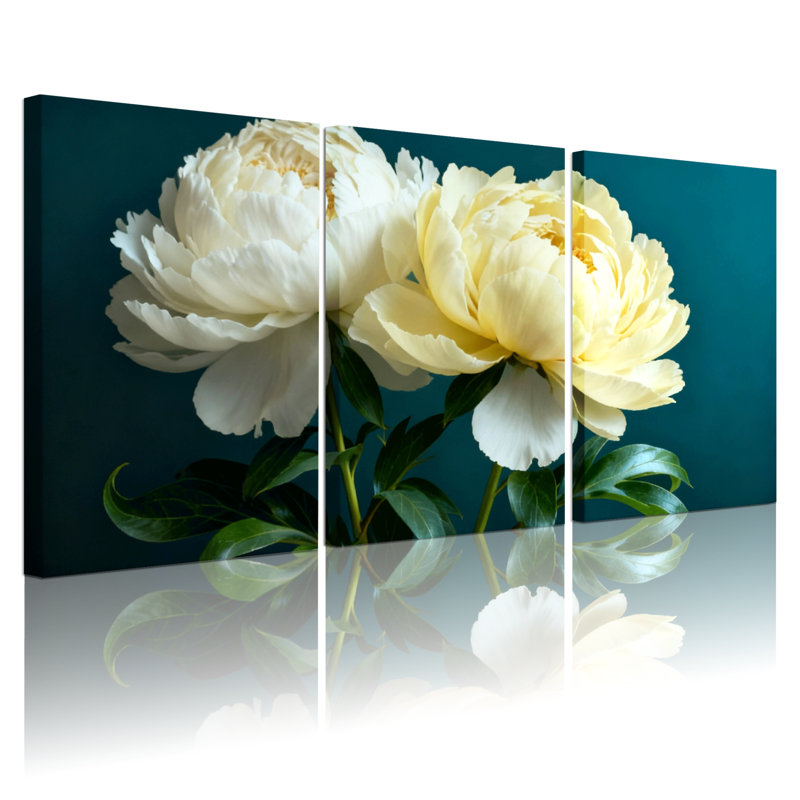Pivoine, pivoines blanches sur fond foncé, ensemble de 3 impressions sur toile, H 36 po x l 72 po