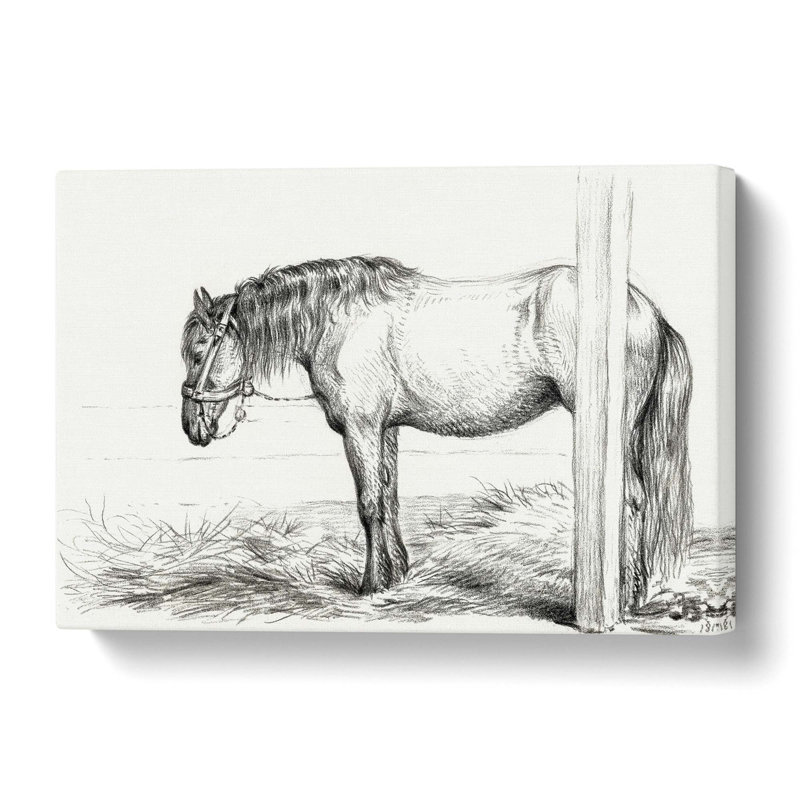 A Horse in a Stable by Jean Bernard - Wrapped Canvas Drawing - Wrapped Canvas, 40 cm H x 60 cm W