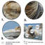 «Walrus Walrus Wonder», reproduction d'art sur toile-127417113-127417124