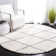 Dubay Shag Performance Geometric Rug